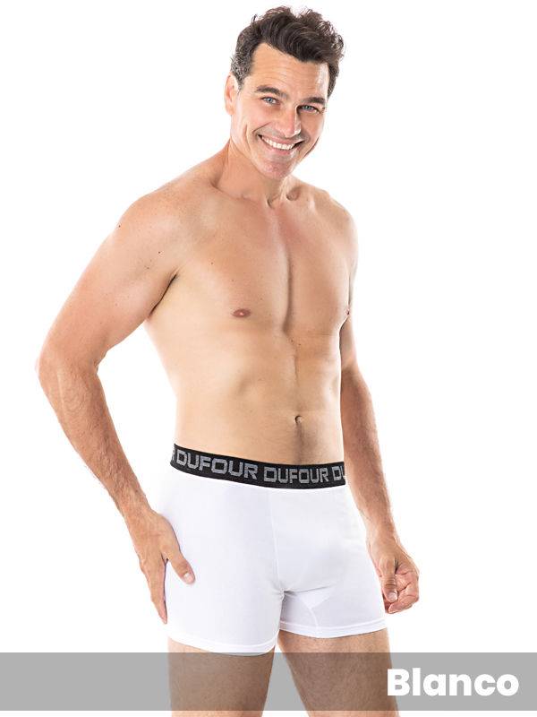 Boxer Básico
